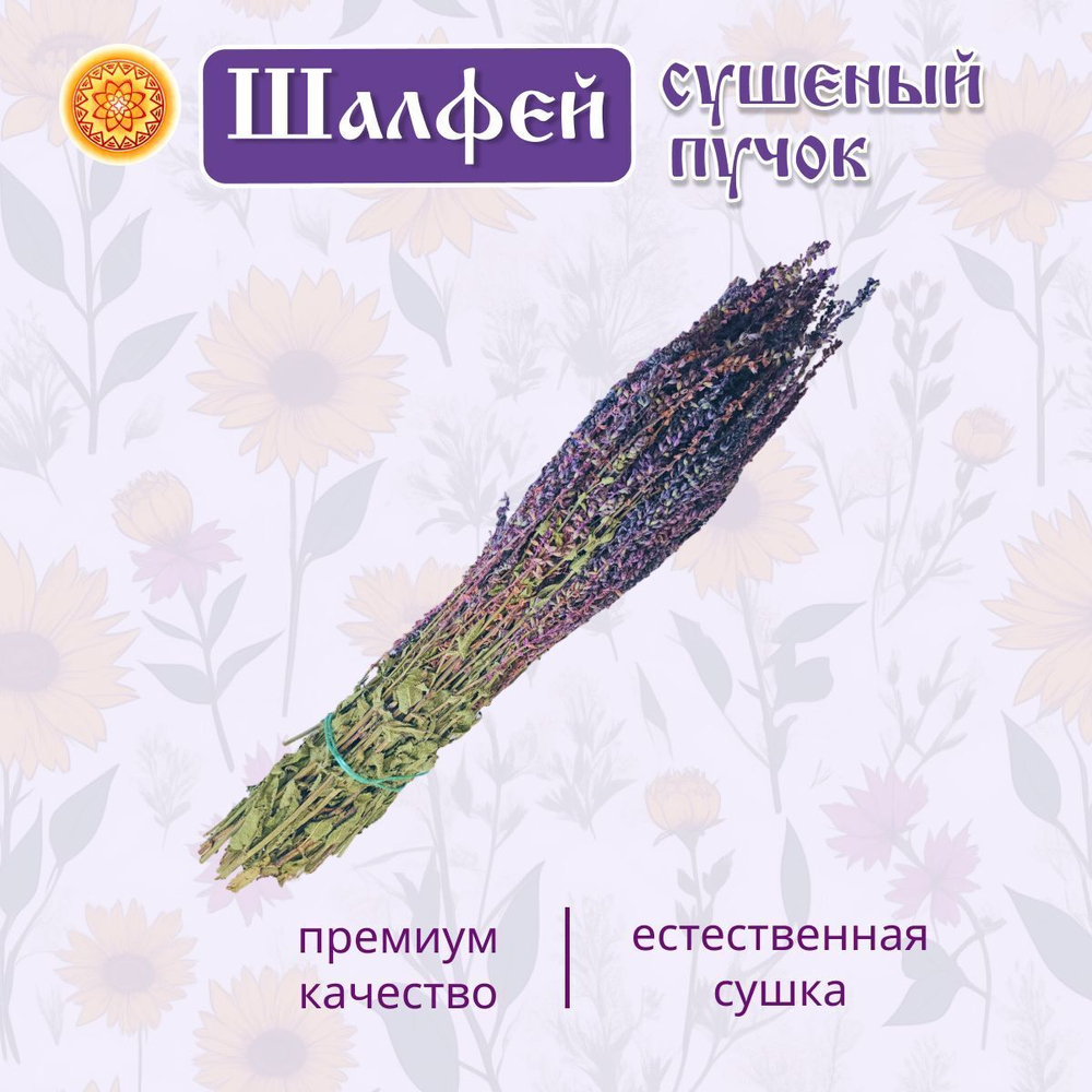 Шалфей пучок.