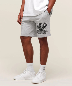 Шорты GYMSHARK Double Bicep Shorts Light Grey