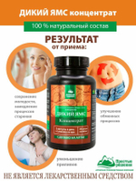 Концентрат ДИКИЙ ЯМС