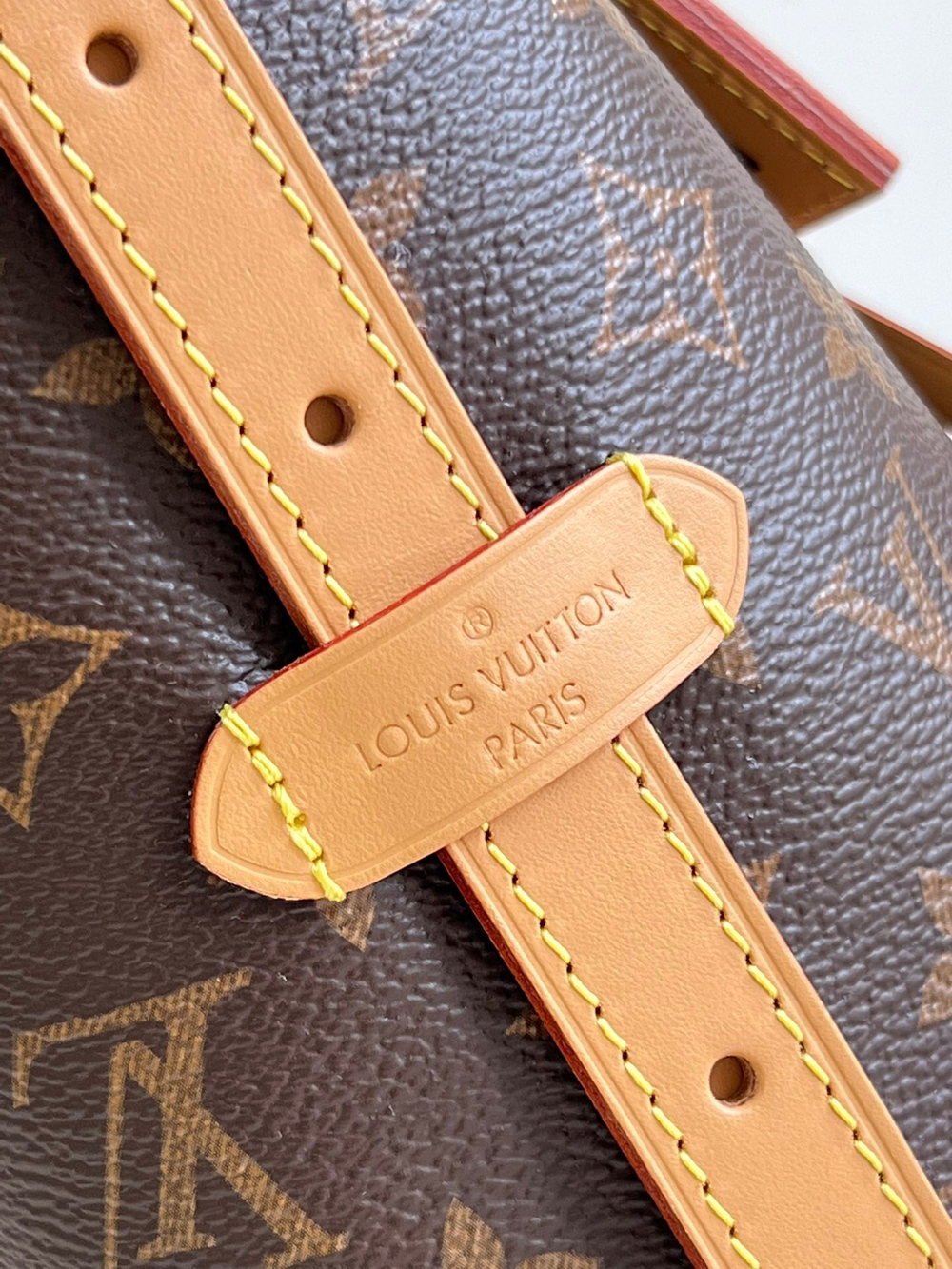 Louis Vuitton CarryAll PM