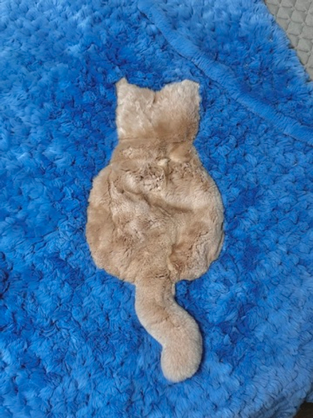 Вязаный детский плед из натурального меха рекс "Котик" 120х80 см (голубой)