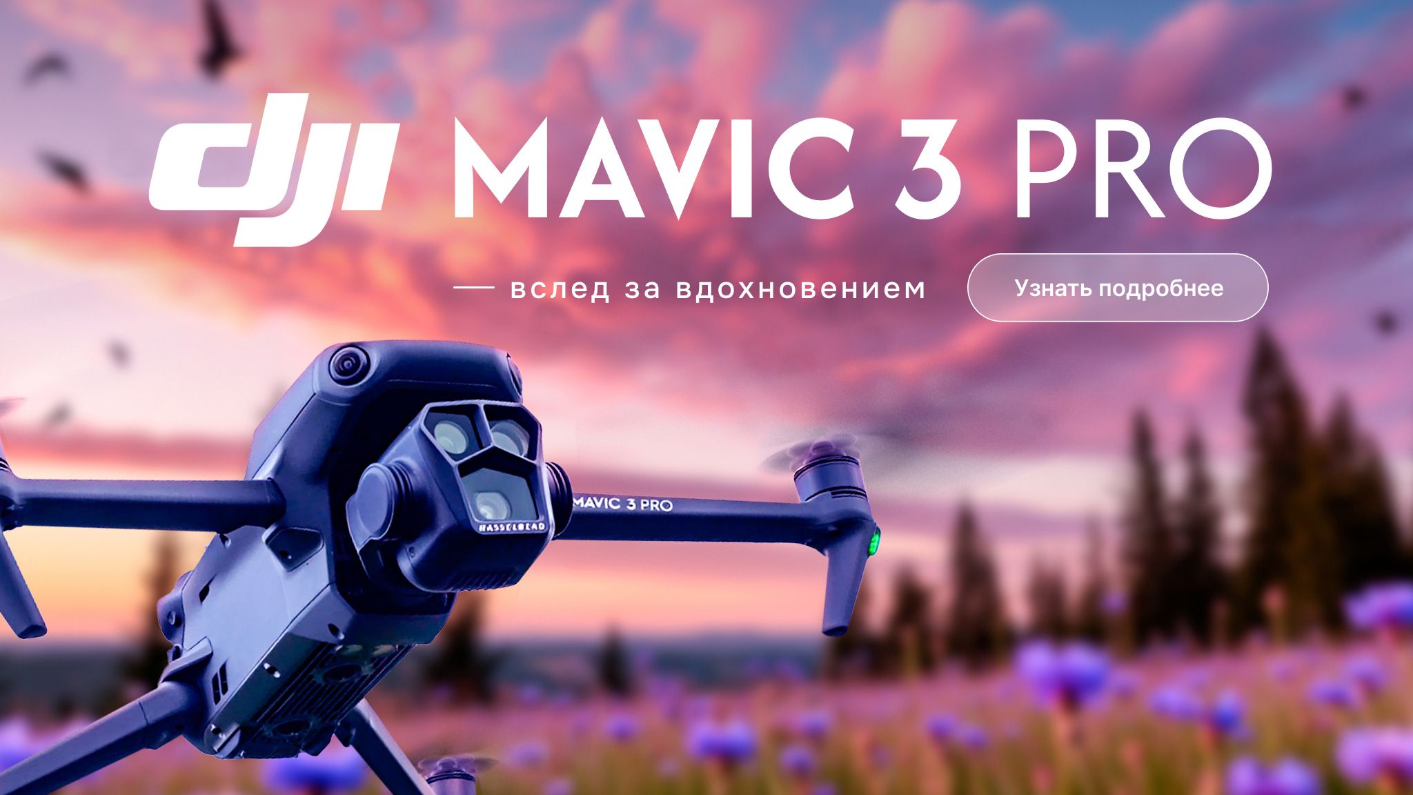 Слайды Блок 2
