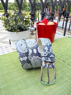 Ремень из натуральной кожи питона AC-118