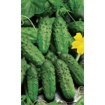 Семена Огурец Хрустящий (Марс) Б/П