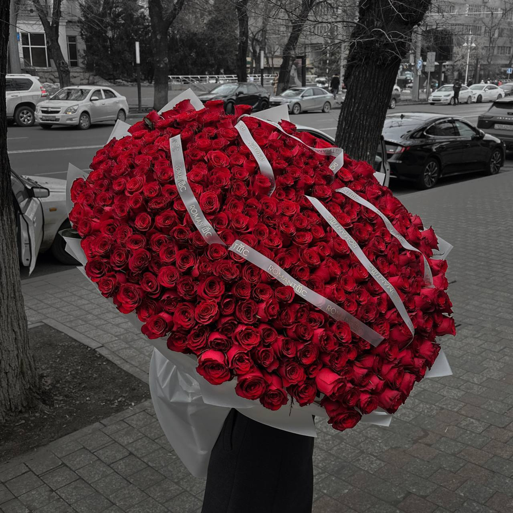 Roses Red 351