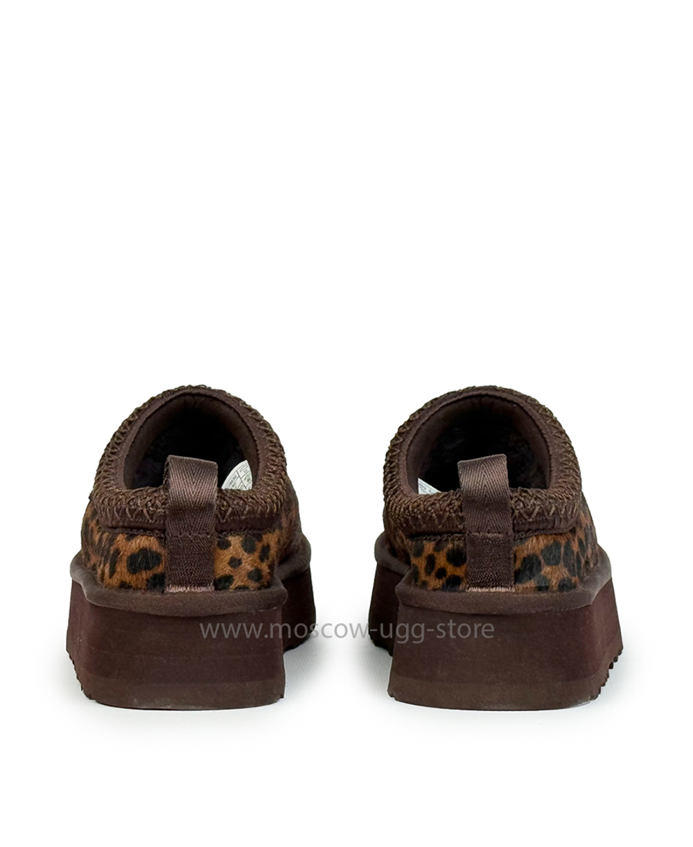 TAZZ - Caspian Burnt Cedar