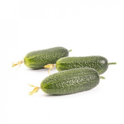 Промисса F1 семена огурца партенокарпического  (Rijk Zwaan / Райк Цваан)