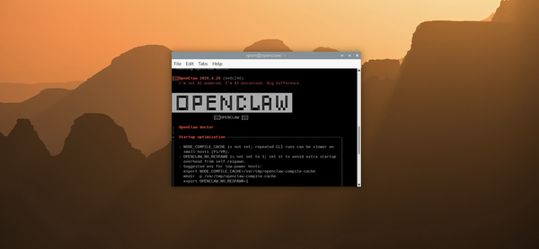 OpenClaw на Raspberry Pi: как приручить автономного агента и не пожалеть об этом OpenClaw на Raspberry Pi: как приручить автономного агента и не пожалеть об этом