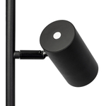 Citilux Twin CL809011N Торшер светодиодный Чёрный