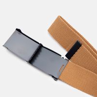  Ремень Dickies Orcutt Webbing Belt артикул:DK0A4X7EBD01 - купить в магазине Дайс