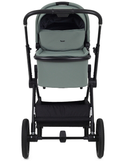 Детская коляска Rant Moss 2 в 1 Green
