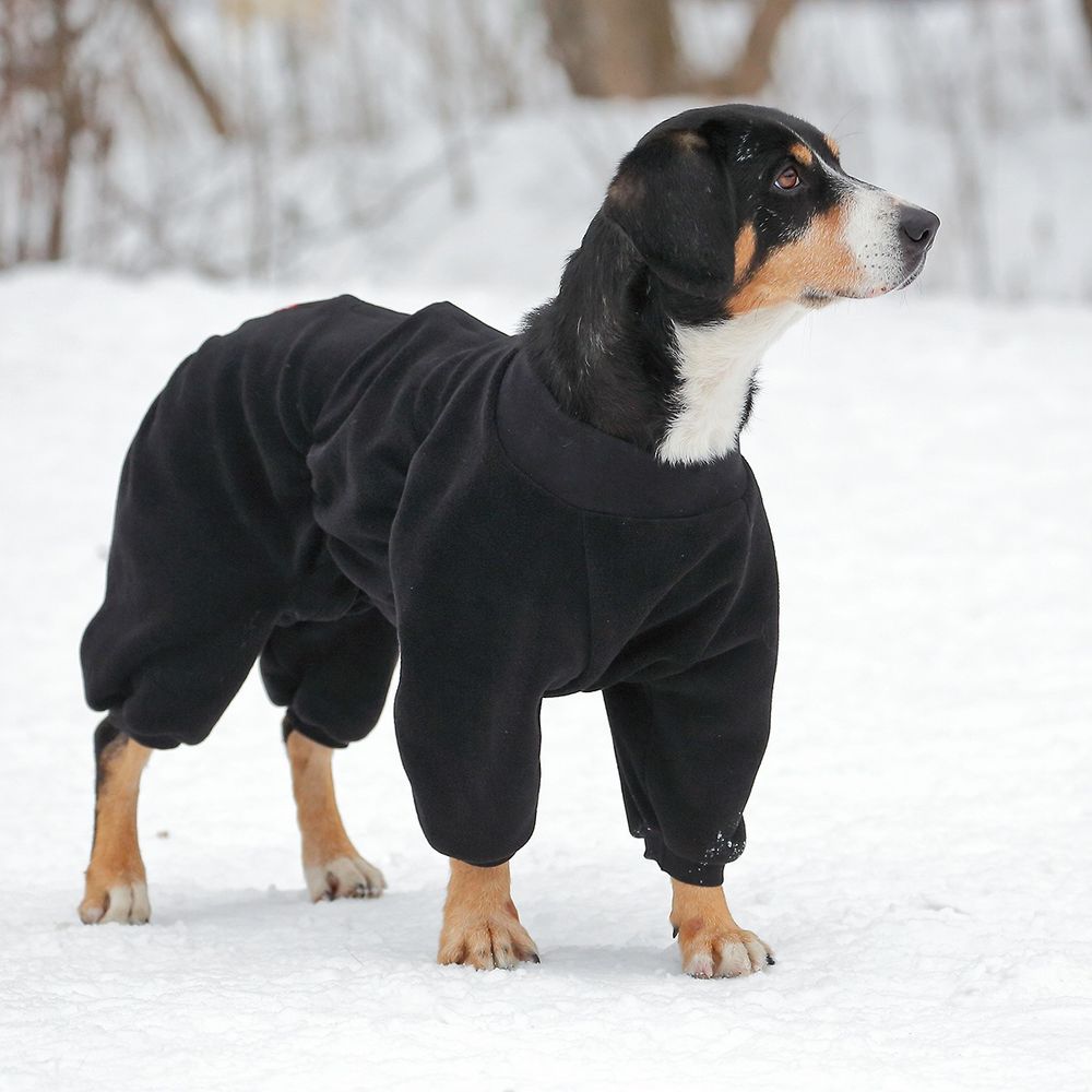 Комбинезон для собак из флиса OSSO Fashion р.60 (мальчик) Комбинезон для собак из флиса OSSO Fashion р.60 (мальчик)