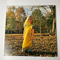 Винтажная виниловая пластинка LP The Allman Brothers Band Brothers And Sisters (Japan 1979) (No Obi)