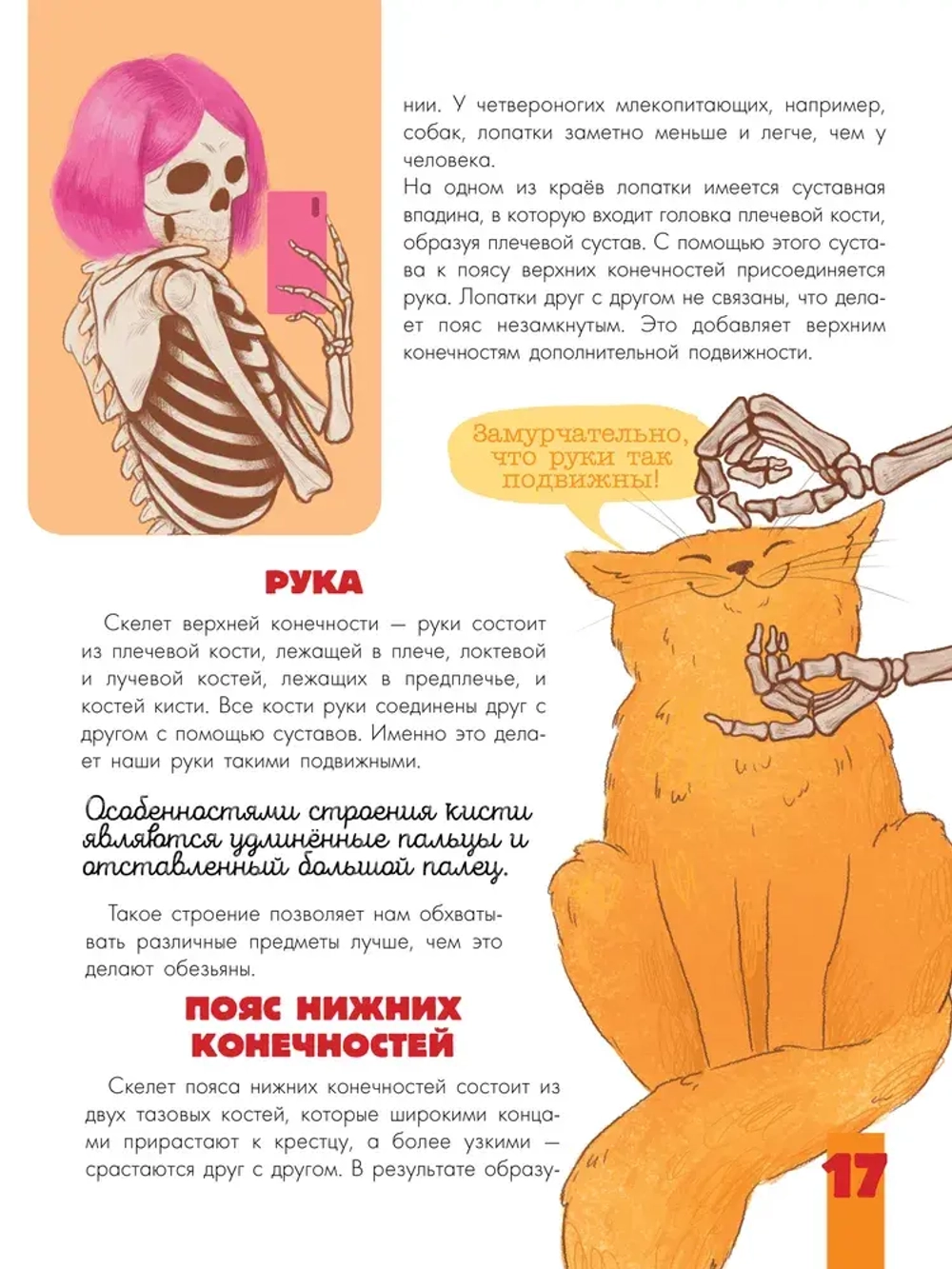 Тело человека