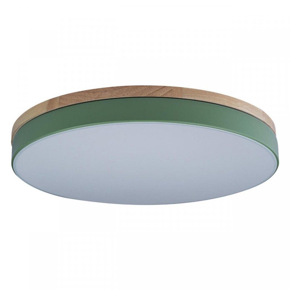 Потолочный светодиодный светильник Loft It Axel 10001/36 Green