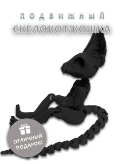 Скелет Кошки