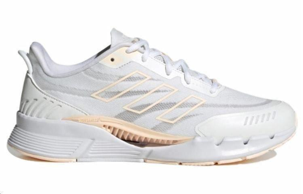 Кроссовки Adidas Climacool
