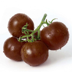 Наоми F1 семена томата индетерминантного (Гавриш)