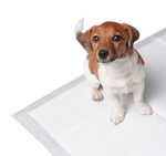 Petsona гелевые пеленки для животных Extra, белые, 60х40 см, 50 шт