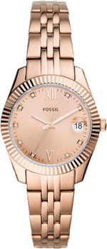 Наручные часы Fossil ES4898