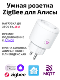 Умная розетка ZigBee 16А с Алисой