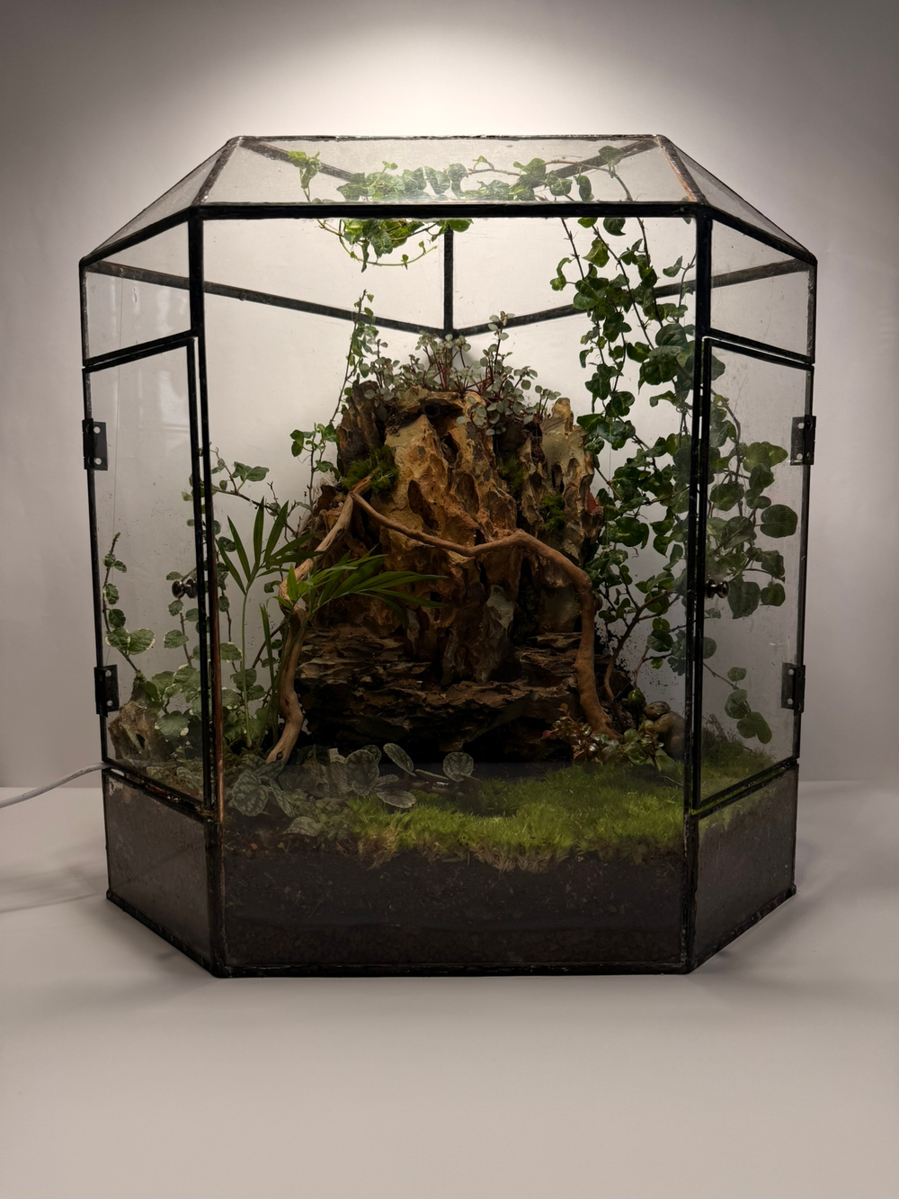 Флорариум XL (от 50 см)