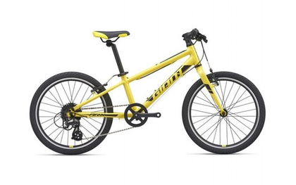 Велосипед Giant ARX 20 2021