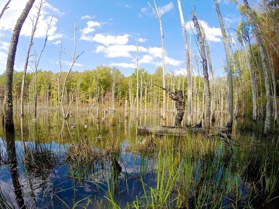 Рыбацкий каяк Jackson Kilroy Realtree