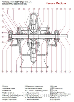 D125-250A-а - насос DeLium нового поколения двухстороннего входа с горизонтальным разъёмом корпуса