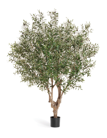 Искусственные Оливы