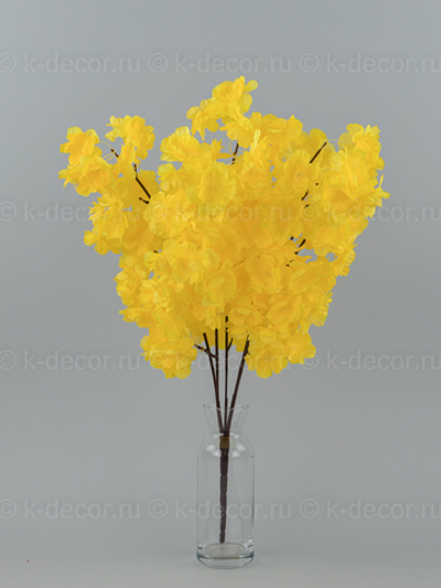 Сакура Весенняя цветная