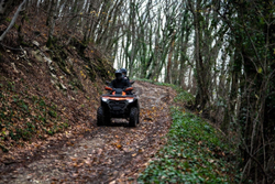 Квадроцикл CFMOTO CFORCE 800 HO EPS (ПСМ)