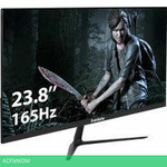 Игровой монитор ExeGate Combat EG2407C EX295589RUS