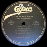 REO Speedwagon / Life As We Know It (LP)
