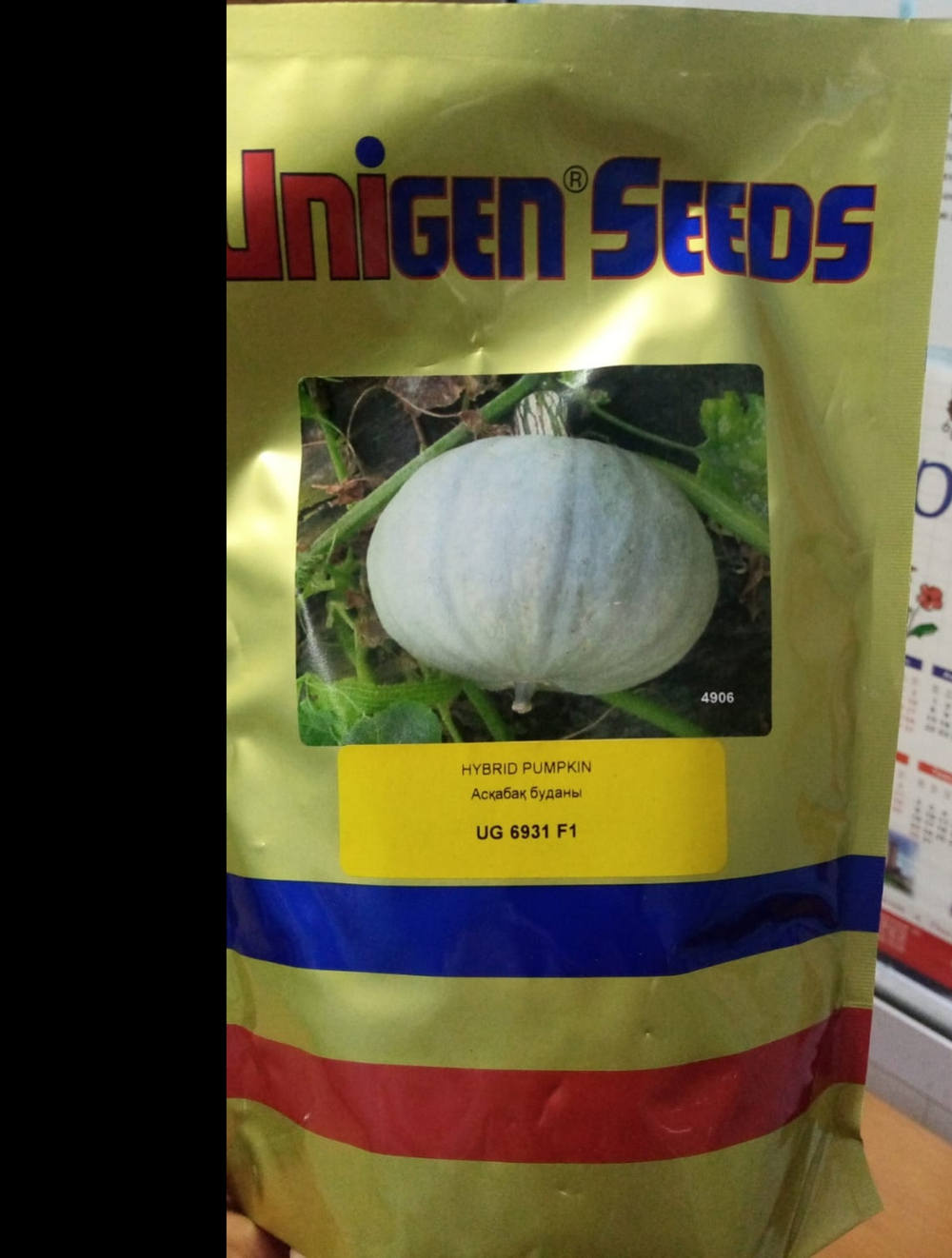 Тыква UG 6931 F1