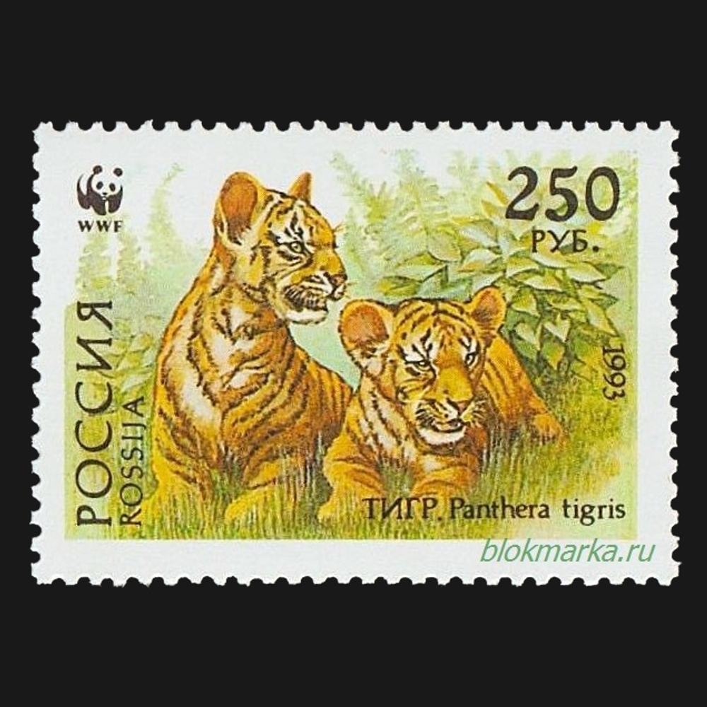Россия 1993 г № 124-127 Серия Уссурийский тигр Чистая MNH **
