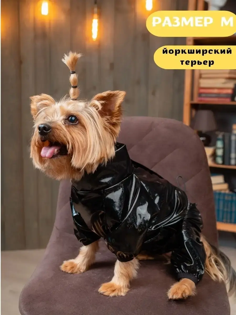 Комбинезон для мелких и средних собак