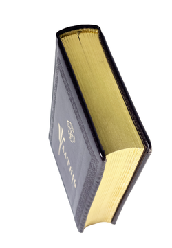 IMG_9034-PhotoRoom.png-PhotoRoom