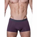 Мужские трусы боксеры фиолетовые Sergio Dallini SD2905-2