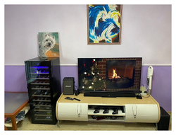 Винный шкаф Vinosafe VSF51AM