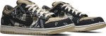 Nike Dunk x Travis Scott Low Premium QS SB 'Cactus Jack'