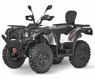 Квадроцикл BALTMOTORS Striker 500 EFI