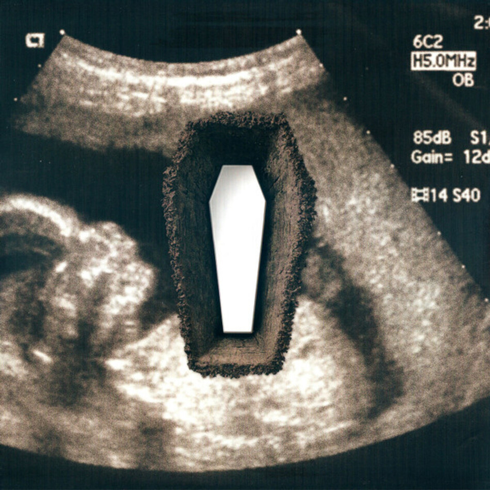 Metallica / Death Magnetic (Limited Edition)(5x12" Vinyl)