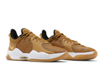 Кроссовки Nike Pg 5 5