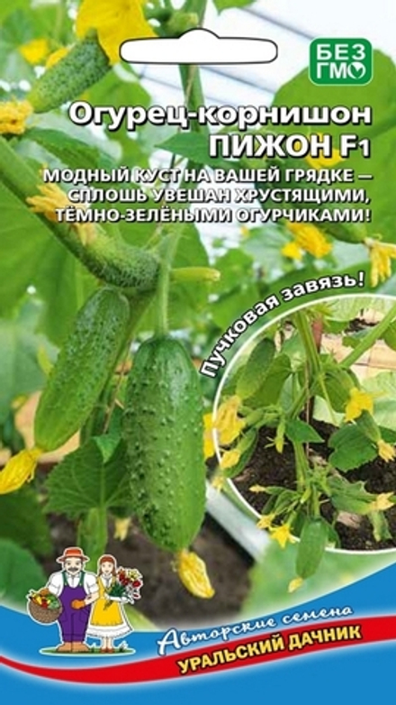 Огурец "G. Пижон F1" 10шт., Россия.