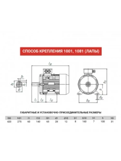 Электродвигатель АИР ( 5АИ ) 100L2 IM1081 5,5 кВт 3000 об 220/380В Вал d 28мм трехфазный для станка для насоса лапы