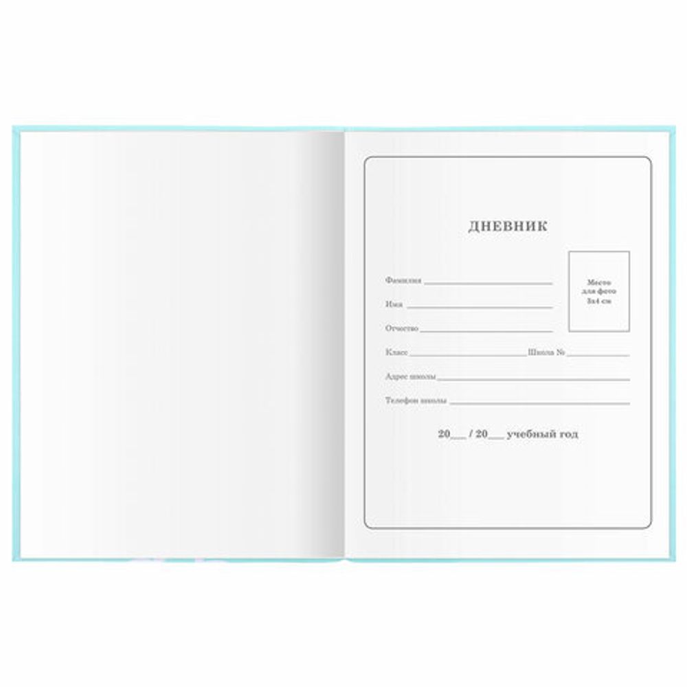 Дневник 1-4 класс 48 л., гибкая обложка, ЮНЛАНДИЯ, выборочный лак, с подсказом, "Little Princess", 106344