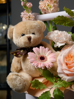 Вызвать улыбку бежевый мишка