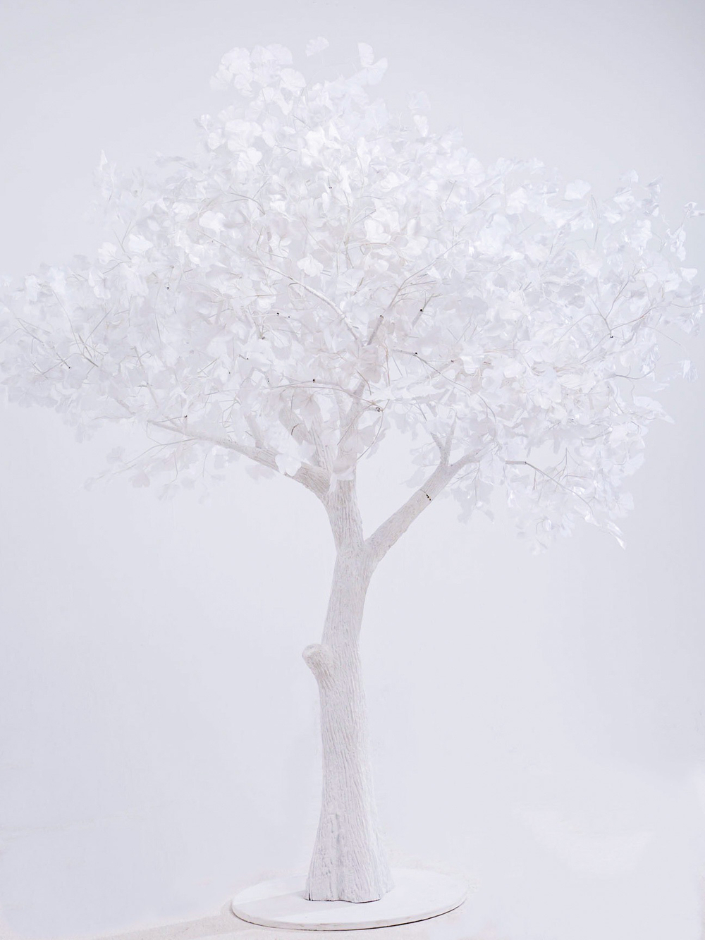 Искусственное дерево "Гингко белая/белый ствол" 2,5м